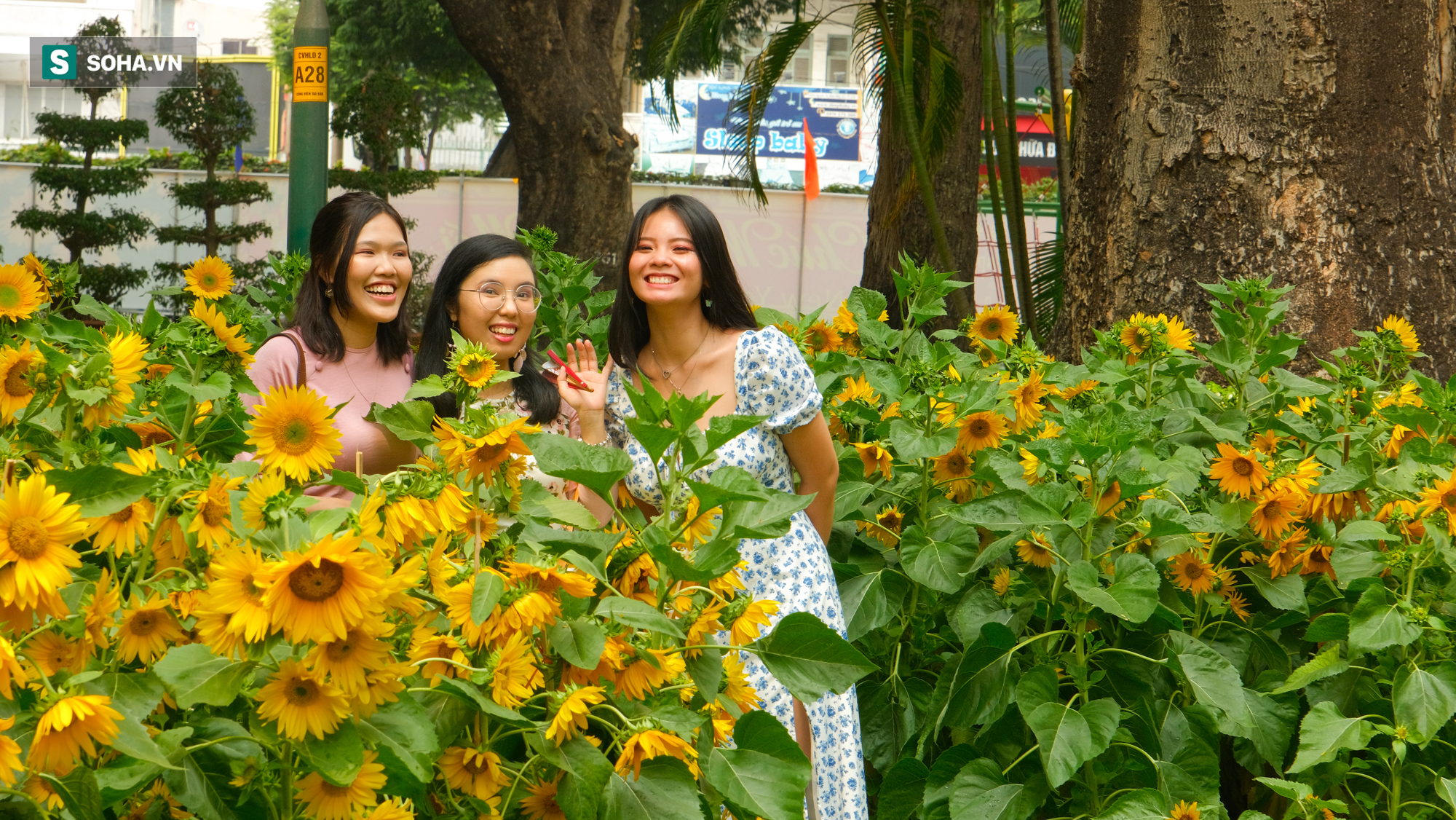 Dòng người háo hức lên đồ chơi Tết ở Hội hoa xuân Tao Đàn, nhiếp ảnh gia kín lịch chụp - Ảnh 3.