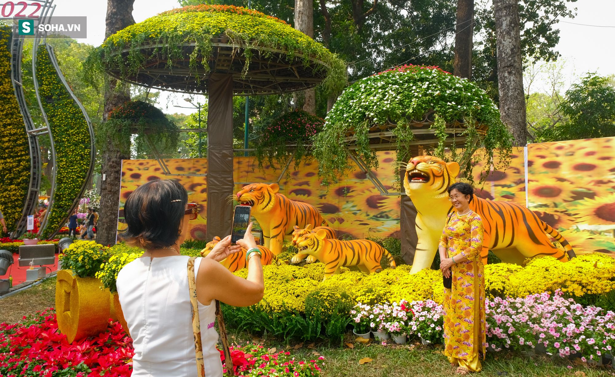 Dòng người háo hức lên đồ chơi Tết ở Hội hoa xuân Tao Đàn, nhiếp ảnh gia kín lịch chụp - Ảnh 2.