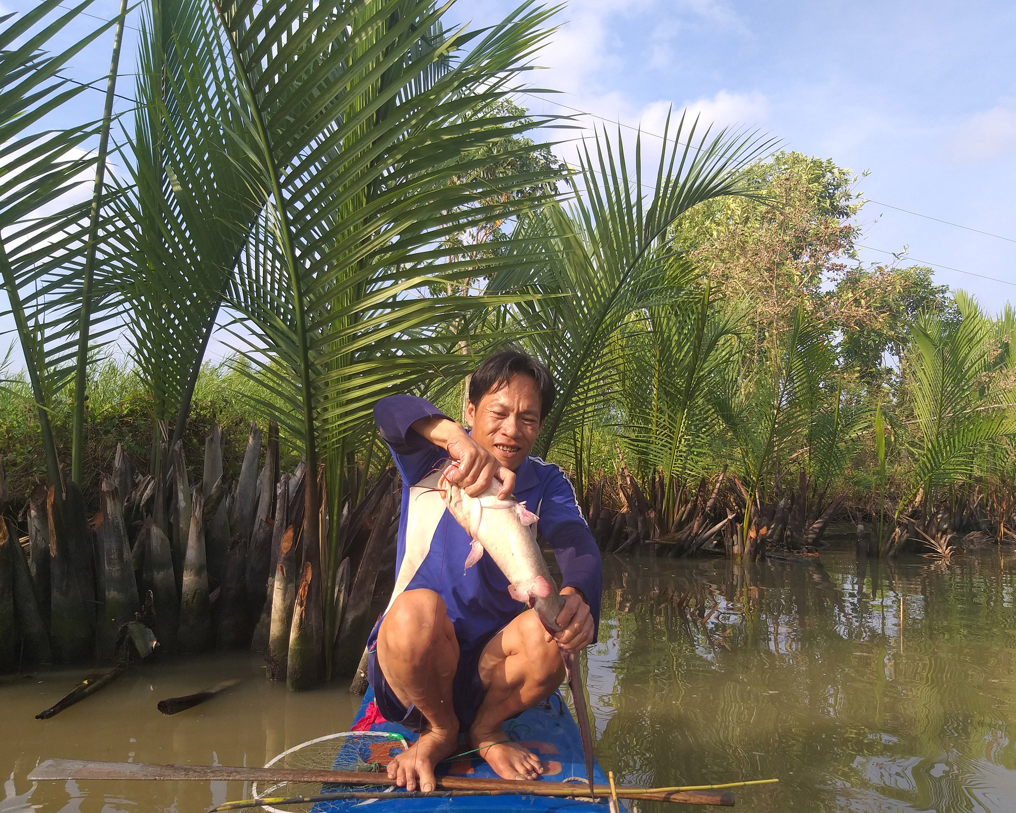 Săn loài cá có nọc cực độc ở Cà Mau - Ảnh 4. Săn loài cá có nọc cực độc ở Cà Mau - Ảnh 4.