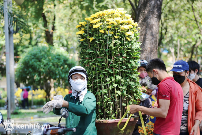 Giờ chỉ còn 20k, 30k/chậu mà có người vẫn trả giá thì chịu, chị không bán, thà lỗ luôn - Ảnh 2.