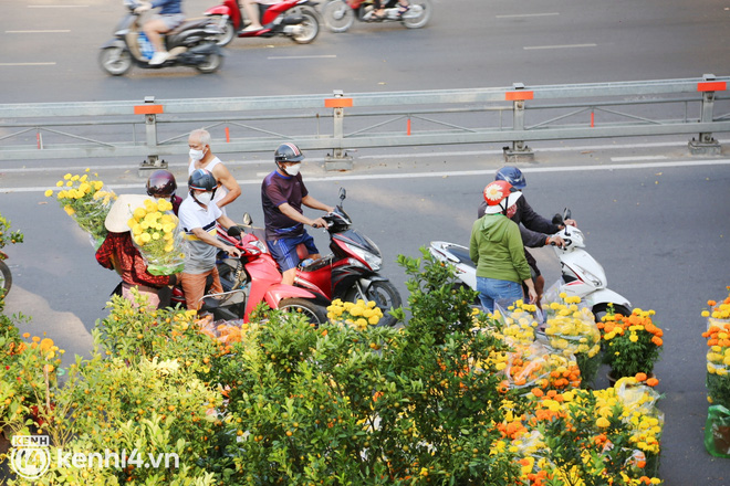 Giờ chỉ còn 20k, 30k/chậu mà có người vẫn trả giá thì chịu, chị không bán, thà lỗ luôn - Ảnh 19.