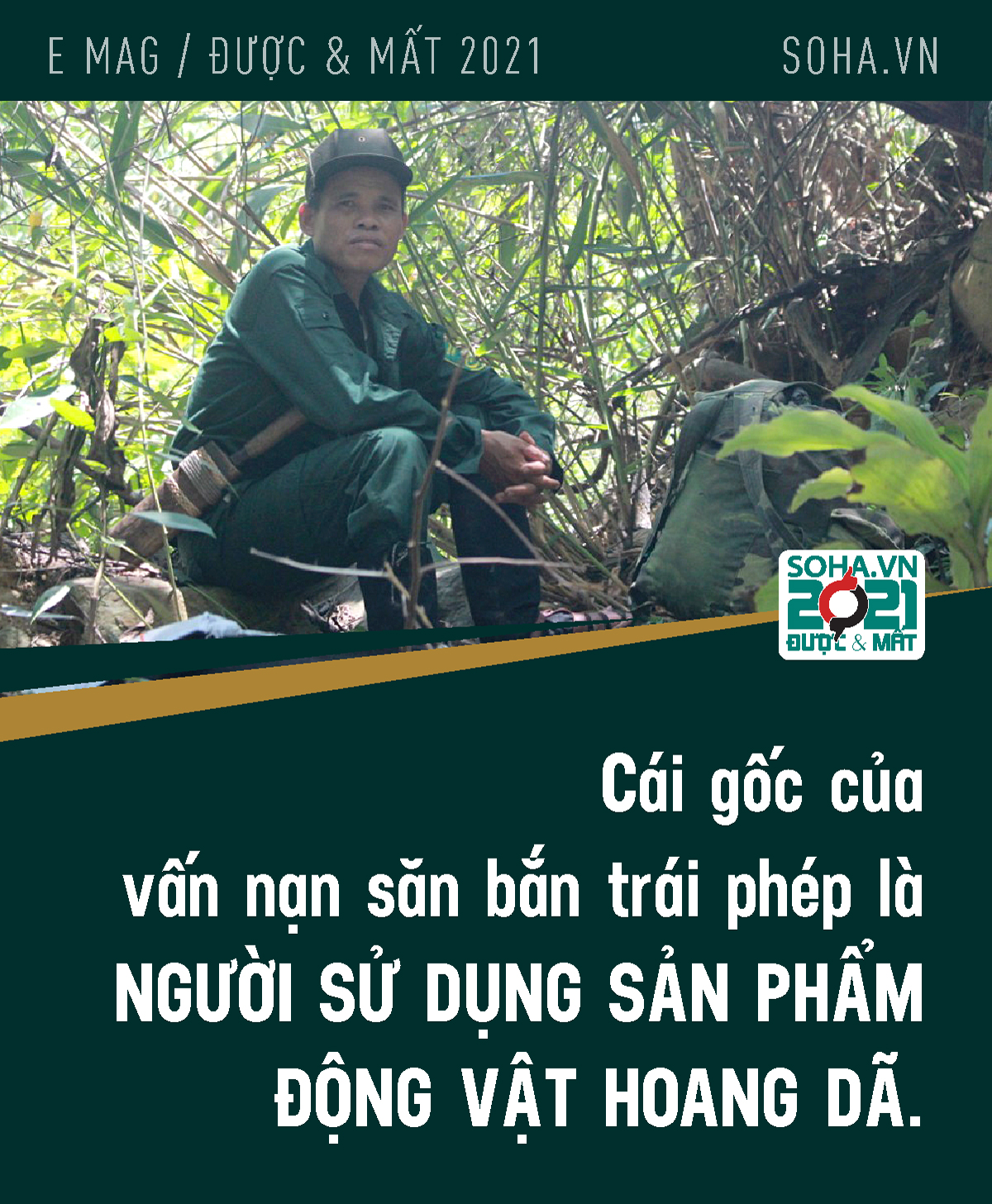 Nỗi đau khó nói nên lời của người Việt đầu tiên đoạt giải Nobel xanh - Ảnh 12.