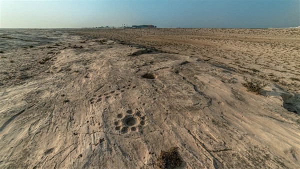 Tranh khắc kỳ bí trong sa mạc Qatar - Ảnh 1.