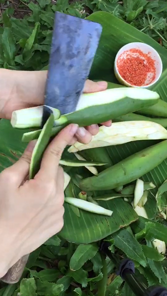 Cô gái hái quả bông gòn chấm muối ăn ngon lành khiến dân tình kinh ngạc: Đó giờ chỉ để lấy bông chứ mấy ai biết là ăn được - Ảnh 2.