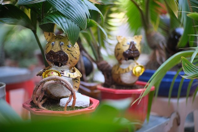 Chiêm ngưỡng dừa bonsai hình hổ thu hút khách trước Tết Nhâm Dần - Ảnh 5.