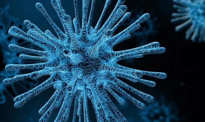 Một virus khỉ khác đang sẵn sàng lây sang người - Ảnh 1. Một virus khỉ khác đang sẵn sàng lây sang người - Ảnh 1.