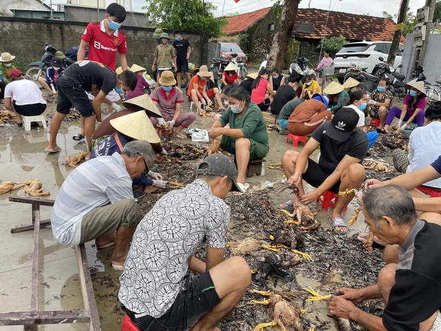 4000 con gà sắp xuất bán thì lũ về chết sạch, nước lên nhanh không cứu kịp - Ảnh 6.