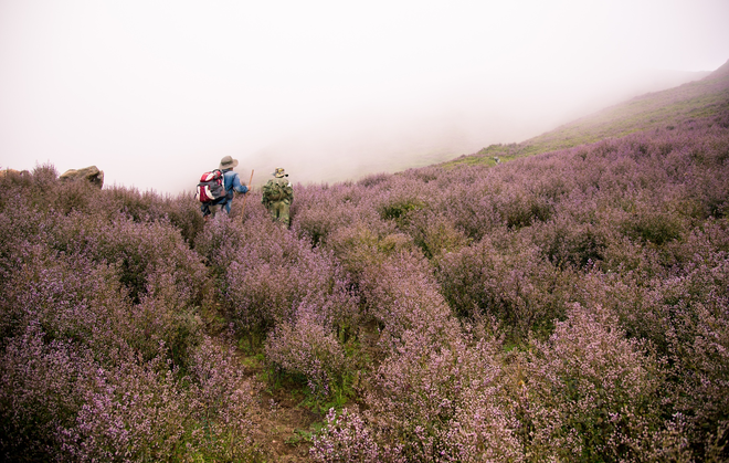 Khám phá những thiên đường săn mây và hoa chi pâu tuyệt đẹp ở vùng Tây Bắc - Ảnh 10.