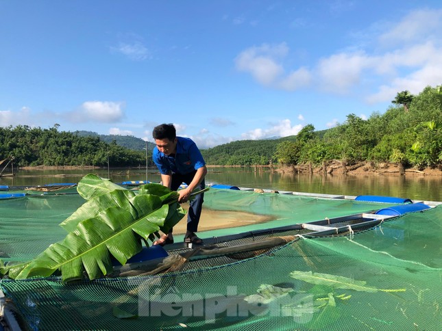 Chàng trai 9x nuôi cá trên lòng hồ thủy điện, thu trăm triệu mỗi năm - Ảnh 2.