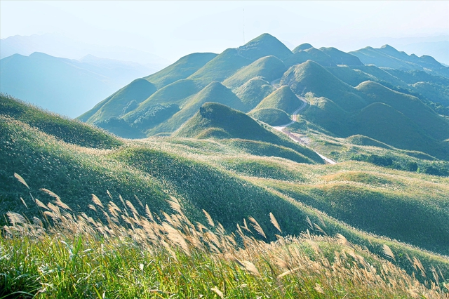  Khám phá Bình Liêu mùa cỏ lau với chi phí 1 triệu đồng  - Ảnh 1.