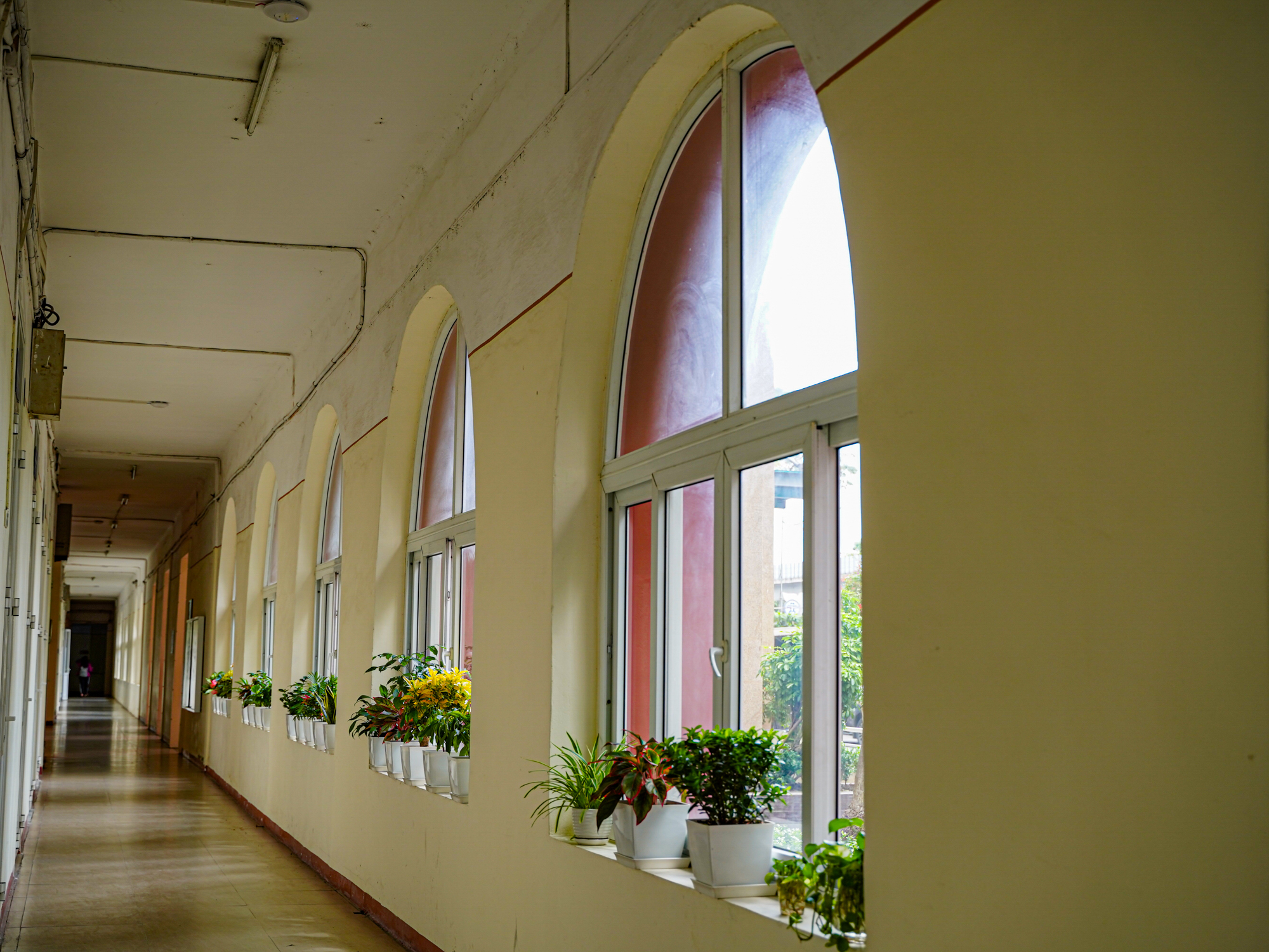Trường đại học khoa học cơ bản, có bề dày 66 năm truyền thống ở Hà Nội - Ảnh 9.