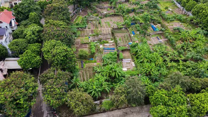 Bên trong những lô đất quây tôn 20 năm mà Hà Nội quyết đòi để xây trường có gì? - Ảnh 14.