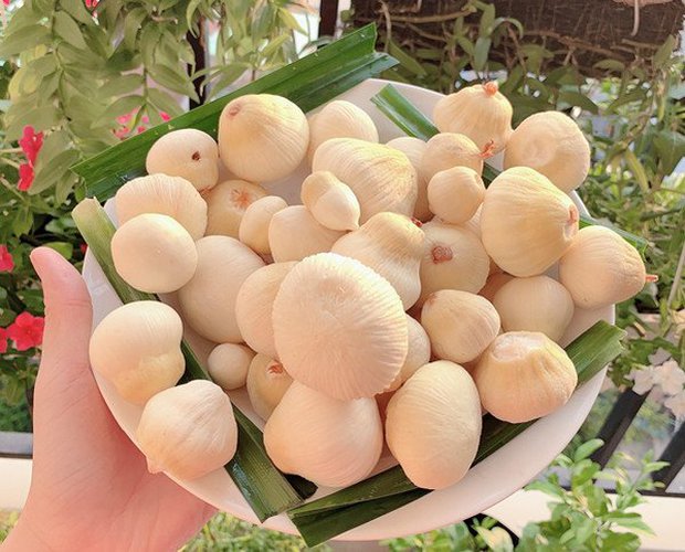 Món quê thành đặc sản được săn lùng, 300.000 đồng/kg cũng khó mua - Ảnh 2.