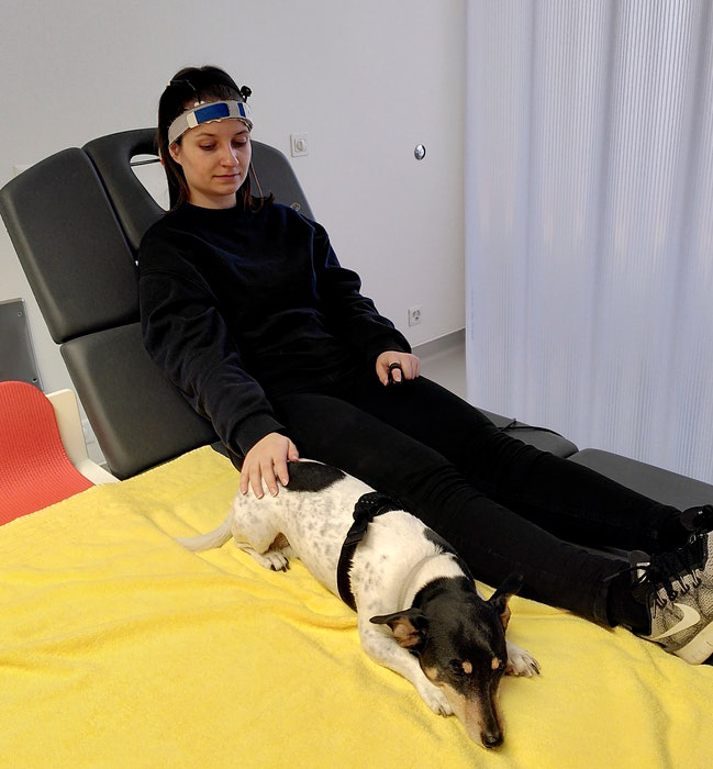 Cưng nựng một chú chó có tác dụng chữa bệnh đối với bộ não - Ảnh 1.