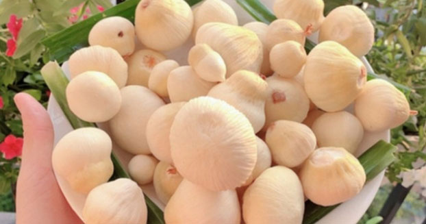 Món quê thành đặc sản được săn lùng, 300.000 đồng/kg cũng khó mua - Ảnh 1.