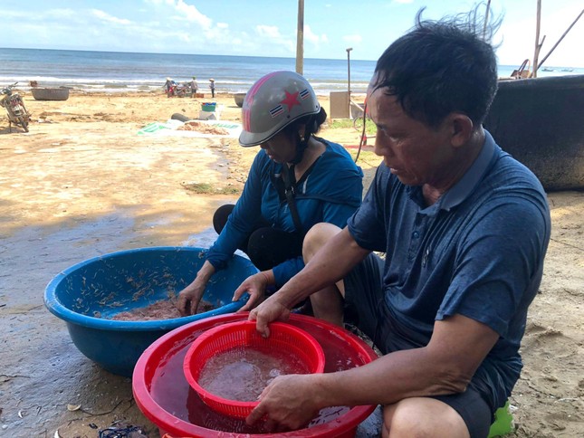 Đánh bắt ruốc biển sau mưa lũ, ngư dân kiếm tiền triệu mỗi ngày - Ảnh 6.