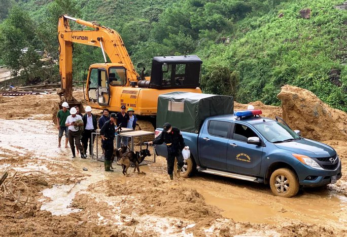 Vụ sạt lở thủy điện Kà Tinh: Dùng chó nghiệp vụ để tìm người - Ảnh 1.