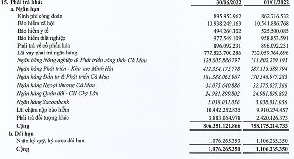 Một công ty từng xuất khẩu tôm top đầu Việt Nam mở thủ tục phá sản, âm vốn hơn 1.000 tỷ đồng - Ảnh 2.