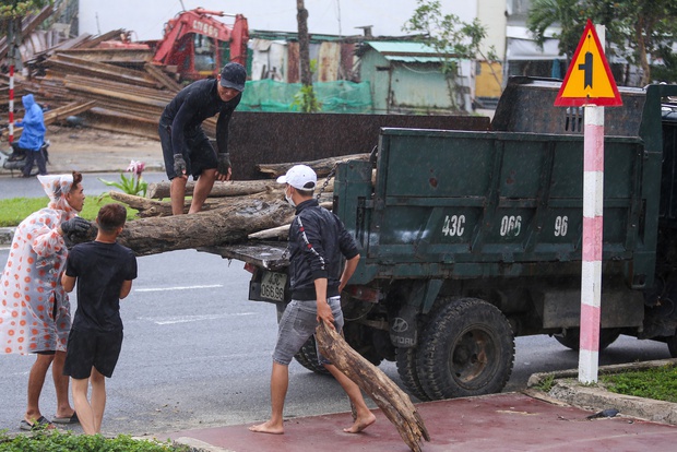 Ảnh: Người Đà Nẵng đổ ra biển nhặt củi, kiếm tiền triệu mỗi ngày - Ảnh 19.