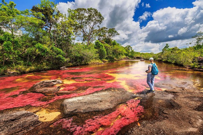 Sông ngũ sắc ở Colombia: Tuyệt tác thiên nhiên không được chạm vào, chỉ rực rỡ trong vài tháng hàng năm - Ảnh 11.