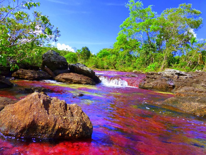 Sông ngũ sắc ở Colombia: Tuyệt tác thiên nhiên không được chạm vào, chỉ rực rỡ trong vài tháng hàng năm - Ảnh 9.