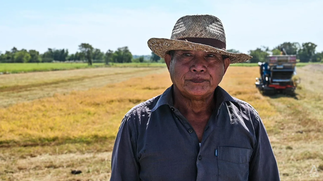 Nông nghiệp Thái Lan gặp khó vì thời tiết khó lường: Đi tìm giải pháp cho người nông dân - Ảnh 2.