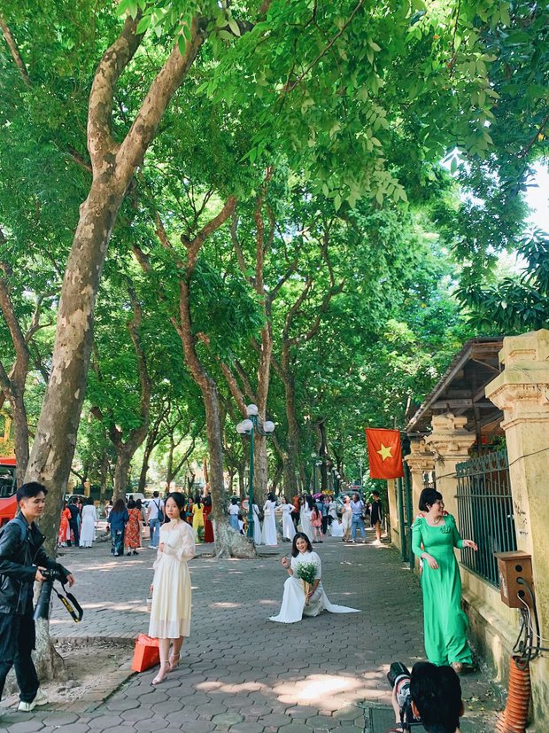 Choáng ngợp khung cảnh người người đổ về phố Phan Đình Phùng để chụp ảnh, săn nắng thu thơ mộng - Ảnh 6.