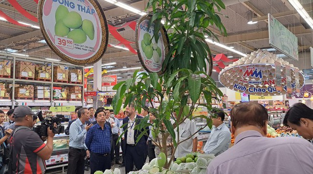 3 giờ sáng, Bộ trưởng Lê Minh Hoan xuất hiện ở chợ đầu mối Bình Điền