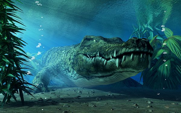 Đây là những điều sẽ xảy ra nếu bạn thả một con cá sấu vào hồ đầy cá piranha - Ảnh 4.