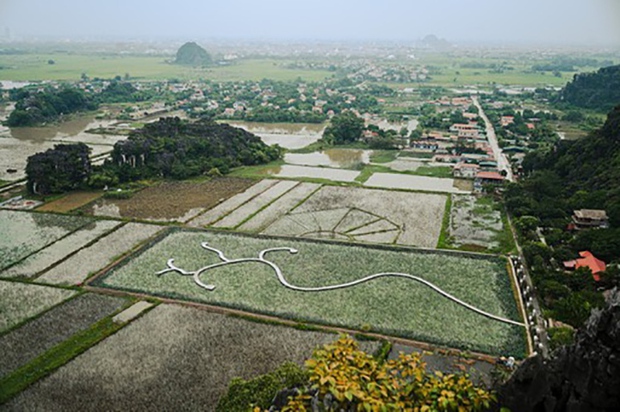 Mê mẩn cảnh sắc mùa Thu ở Hang Múa, danh thắng nổi tiếng đất cố đô Ninh Bình - Ảnh 1.