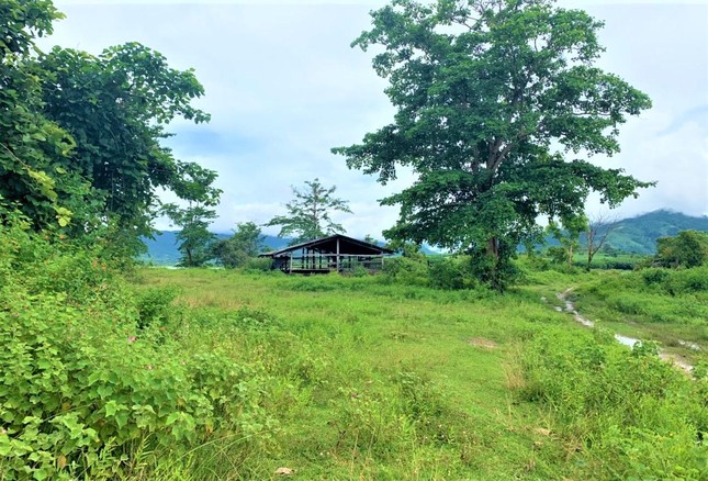 Nguyên Bí thư Tỉnh ủy Đắk Lắk tháo dỡ trang trại khỏi khu bảo tồn - Ảnh 3.
