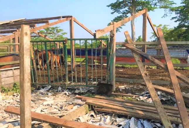 Nguyên Bí thư Tỉnh ủy Đắk Lắk tháo dỡ trang trại khỏi khu bảo tồn - Ảnh 2.