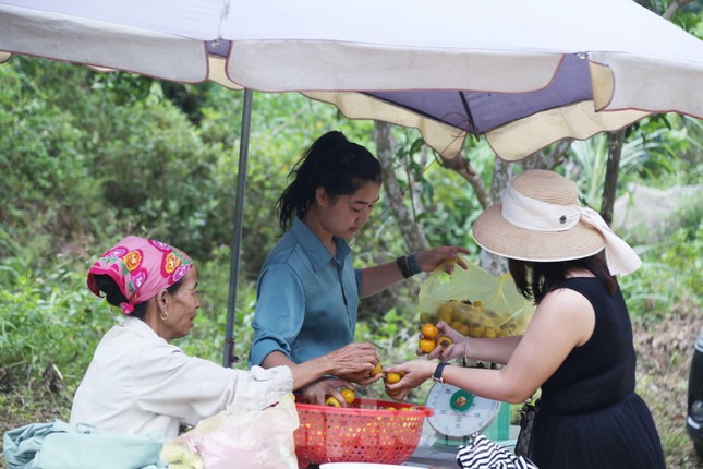 ‘Thủ phủ hồng’ ở xứ Nghệ vào mùa, thu hút giới trẻ đến check in - Ảnh 11.