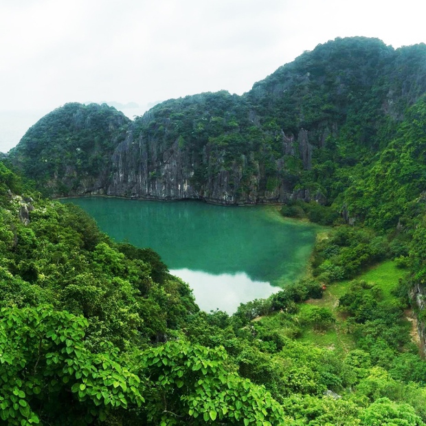 Vẻ đẹp nguyên sơ, ít người đặt chân đến ở mắt rồng giữa lòng vịnh Hạ Long - Ảnh 7.