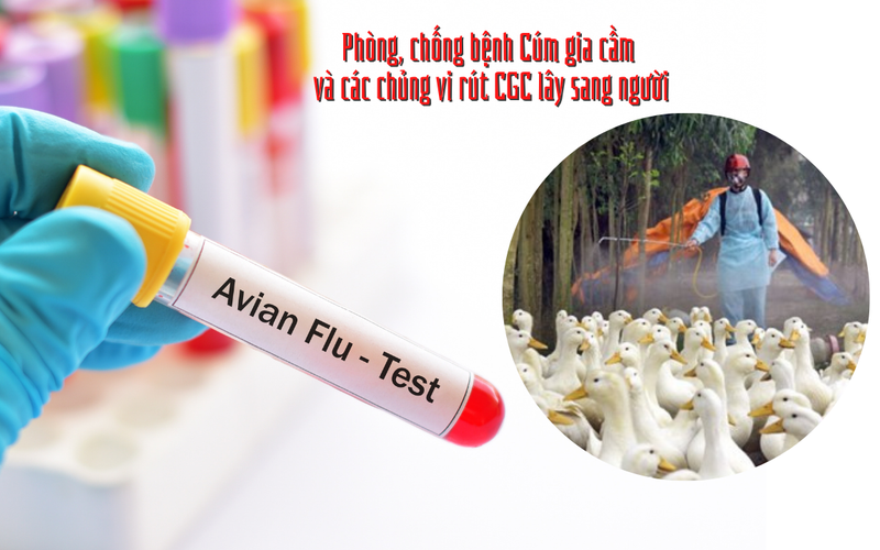 Bé gái 4 tuổi nhiễm cúm gia cầm ở Phú Thọ đang nguy kịch - Ảnh 1. Bé gái 4 tuổi nhiễm cúm gia cầm ở Phú Thọ đang nguy kịch - Ảnh 1.