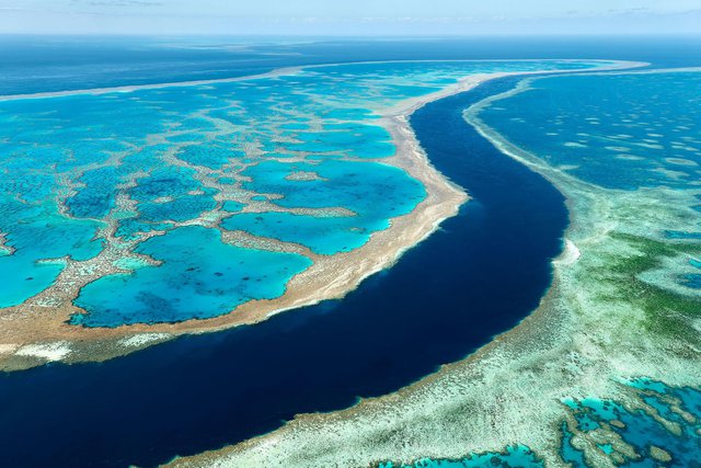 Đây là thời điểm thích hợp để tham quan rạn san hô Great Barrier! - Ảnh 5.