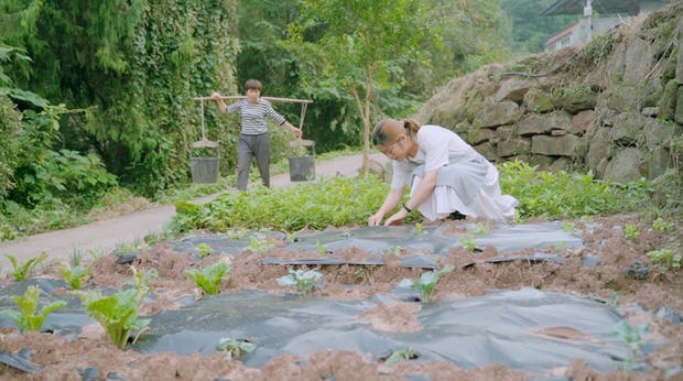  Xu hướng 5 ngày làm việc ở phố, 2 ngày cuối tuần rủ nhau về quê làm ruộng để giải tỏa áp lực - Ảnh 6.