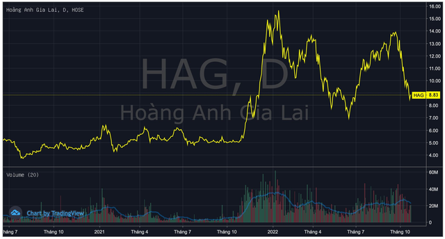  HAG ngược dòng tăng 4%, con gái bầu Đức hoàn tất mua vào 1 triệu cổ phiếu  - Ảnh 1.