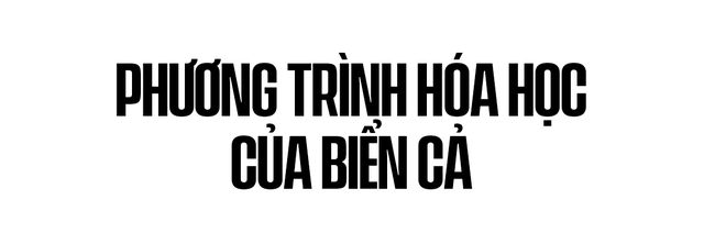 Biển hấp thụ 22 triệu tấn CO2 mỗi ngày, chúng đang làm tan vỏ hàu, tẩy trắng san hô và khiến cả đại dương axit hóa - Ảnh 11.