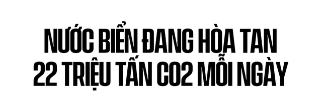 Biển hấp thụ 22 triệu tấn CO2 mỗi ngày, chúng đang làm tan vỏ hàu, tẩy trắng san hô và khiến cả đại dương axit hóa - Ảnh 5.