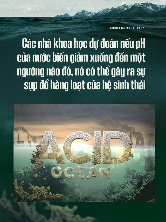 Biển hấp thụ 22 triệu tấn CO2 mỗi ngày, chúng đang làm tan vỏ hàu, tẩy trắng san hô và khiến cả đại dương axit hóa - Ảnh 4.