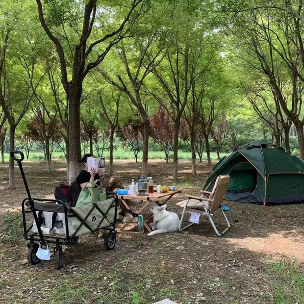  Xu hướng 5 ngày làm việc ở phố, 2 ngày cuối tuần rủ nhau về quê làm ruộng để giải tỏa áp lực - Ảnh 2.