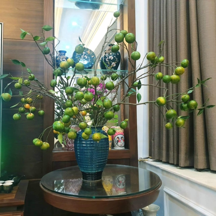 Chị em đua nhau mua về cắm thay hoa, cành cam biến thành hàng độc lạ - Ảnh 3. Chị em đua nhau mua về cắm thay hoa, cành cam biến thành hàng độc lạ - Ảnh 3.