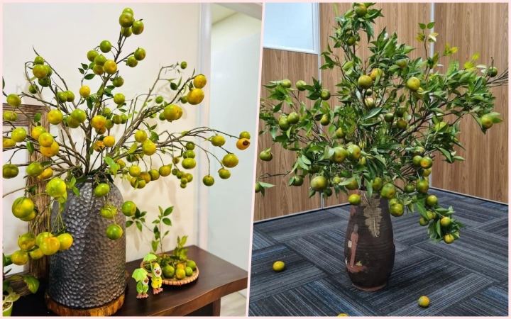 Chị em đua nhau mua về cắm thay hoa, cành cam biến thành hàng độc lạ - Ảnh 1. Chị em đua nhau mua về cắm thay hoa, cành cam biến thành hàng độc lạ - Ảnh 1.