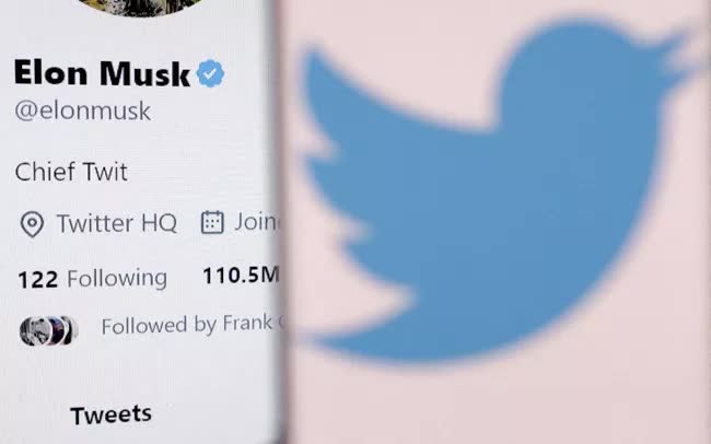 Elon Musk không biết ai là CEO Twitter? - Ảnh 1.