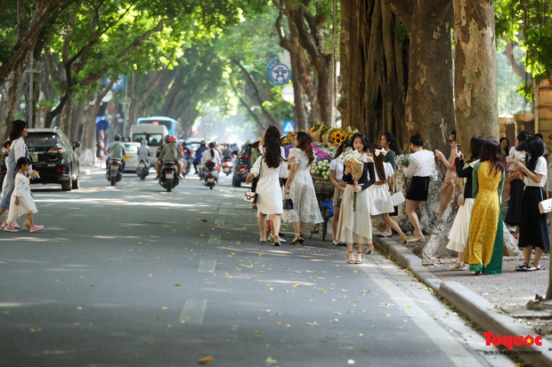 Hàng trăm người đổ về phố Phan Đình Phùng săn nắng mùa thu Hà Nội - Ảnh 1.