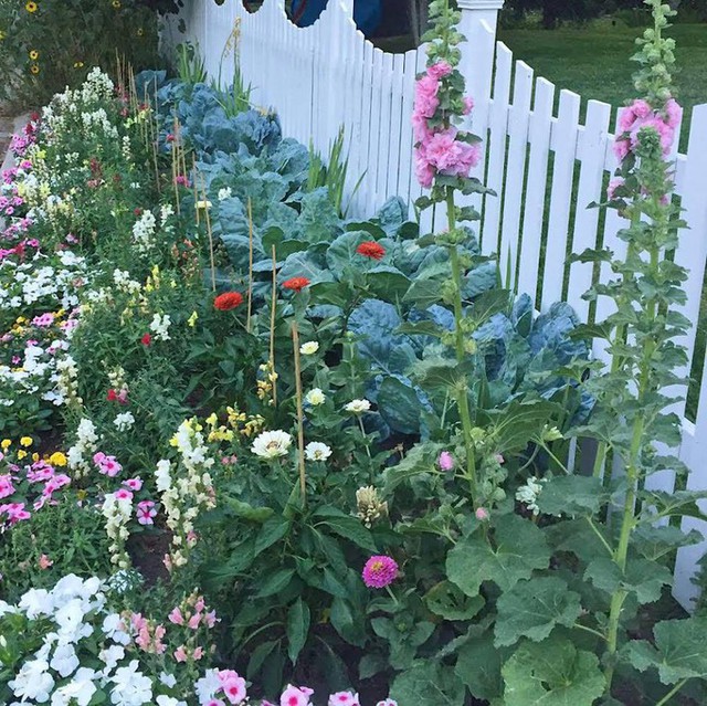 Cuộc sống yên bình của gia đình 6 người bên khu vườn đầy hoa và rau - Ảnh 5.
