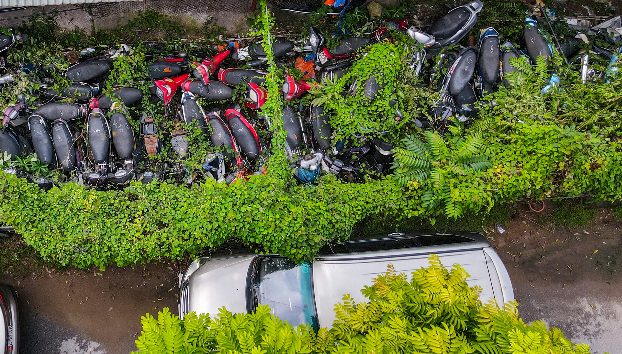 Hà Nội: Hàng nghìn chiếc xe máy vi phạm giao thông chồng chất lên nhau, cỏ mọc um tùm - Ảnh 13.