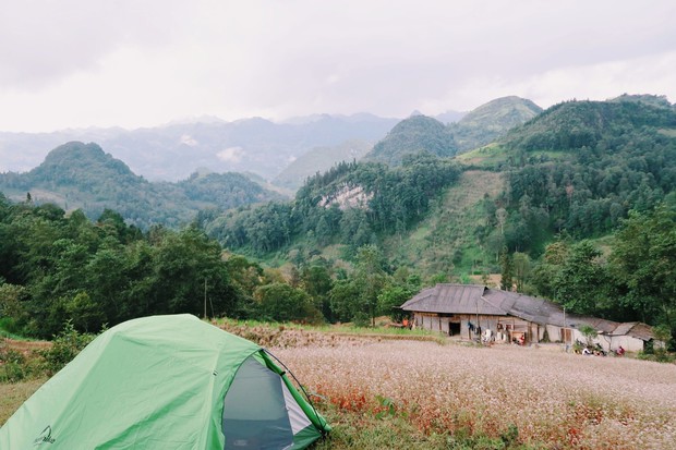 Không chỉ ở Hà Giang, 3 địa điểm cũng có hoa tam giác mạch nở rực rỡ đẹp đến nao lòng - Ảnh 13.