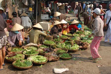 Khách Tây thích thú nói về tiếng Việt: Tiếng Việt như tiếng chim hót vang trong rừng cây - Ảnh 2.